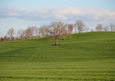 Campo Toscanatura Bio